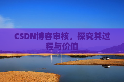 CSDN博客审核，探究其过程与价值